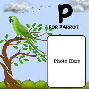 P for Parrot Word Photo Frame - Learn the Alphabet with a Parrot
