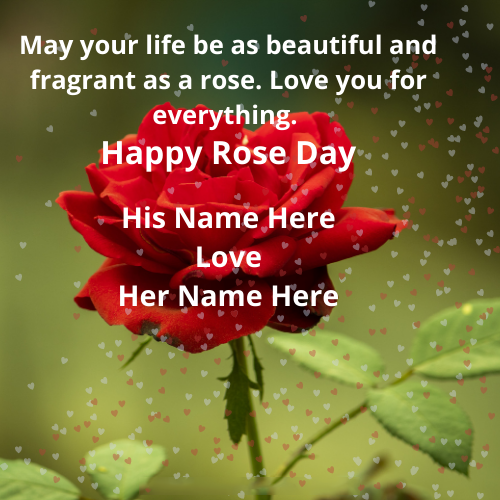 Lovely Rose Day Greeting with Couple's Name Editing