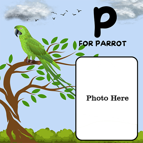 P for Parrot Word Photo Frame - Learn the Alphabet with a Parrot
