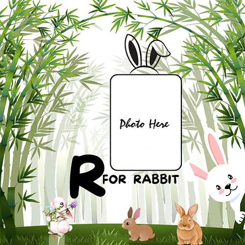 Rabbit-Themed Fun Photo Frame For Kids To Learn Alphabets